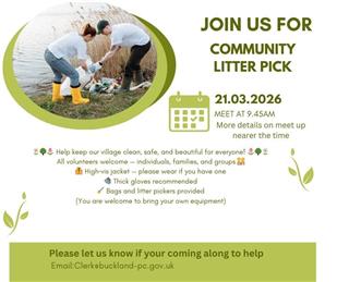 Buckland Litter Pick